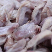 Veterináři zintenzivnili kontroly výskytu salmonel v drůbežím mase